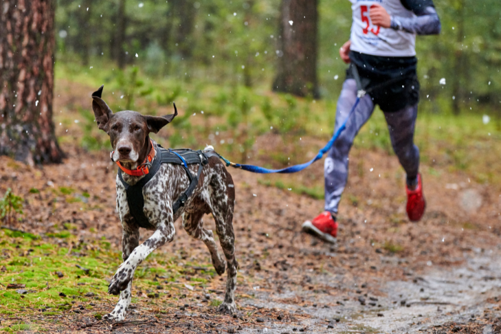 5k with dog