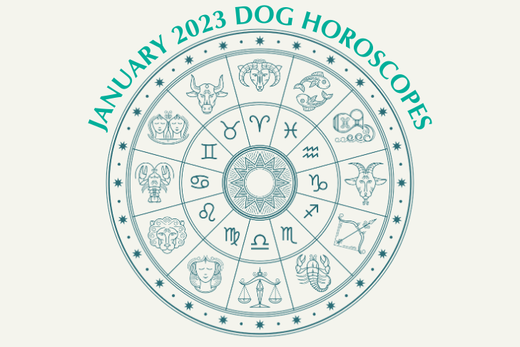 January 2023 horoscope