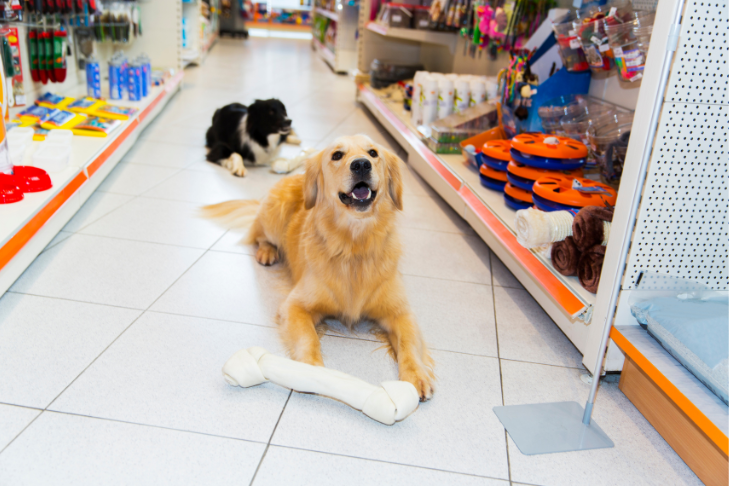 dogs in a pet food store