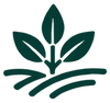 Dark green leaf in a field to represent regenerative farming