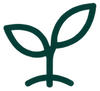 Dark green leaf representing seed to sale